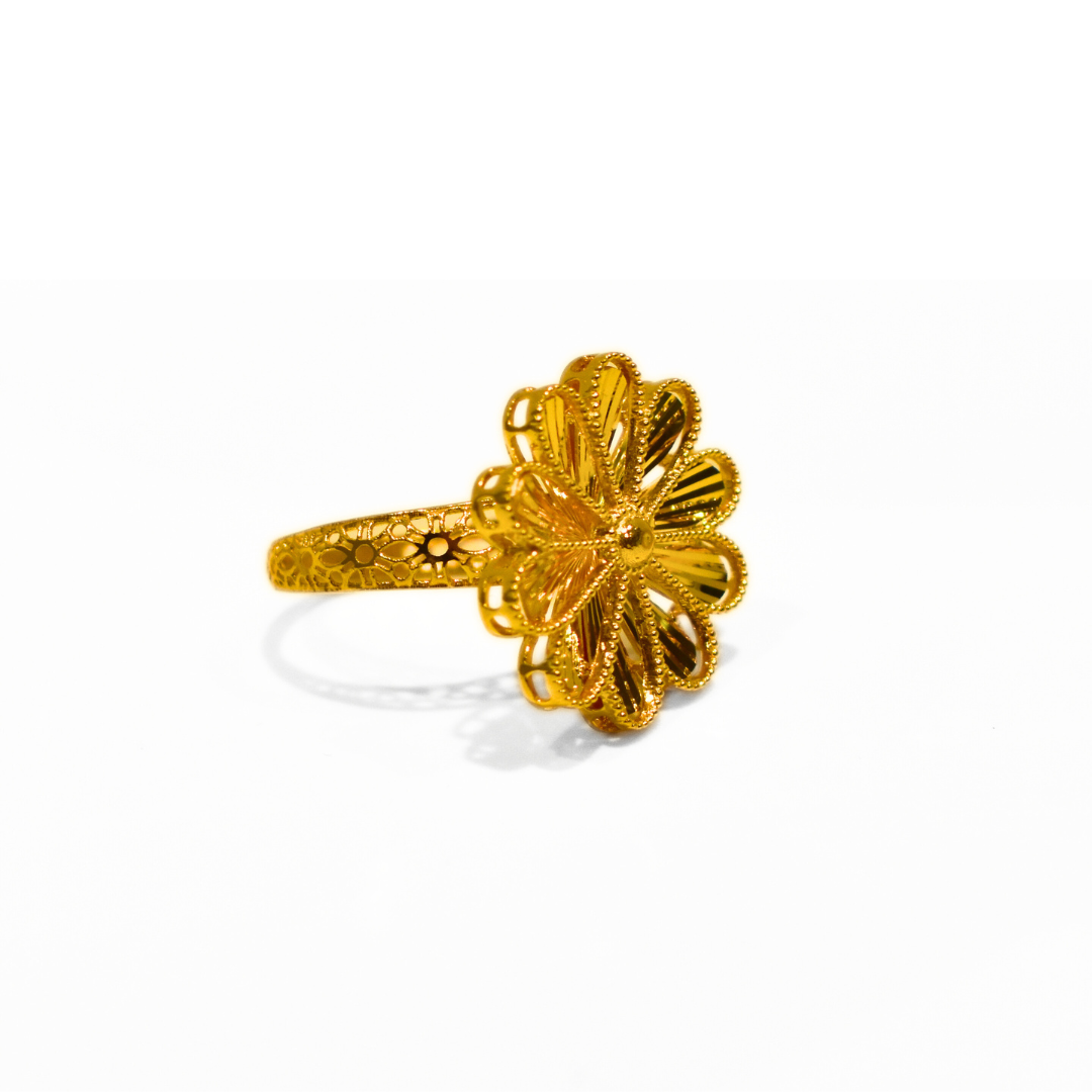 Picture for category Rings